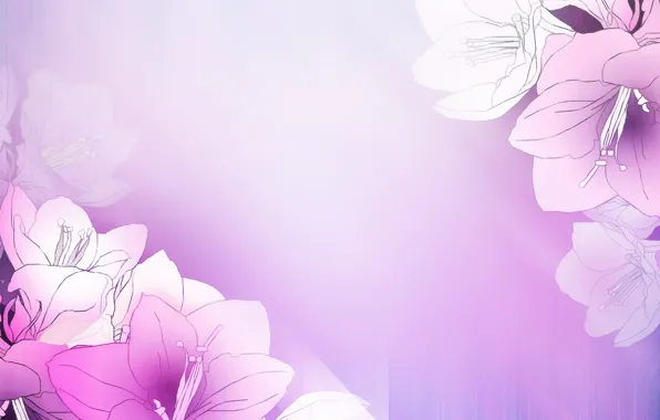 Цветы, Background, Pattern, Floral