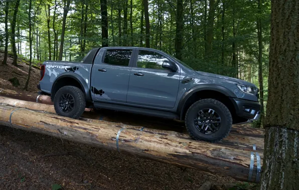 Картинка серый, Ford, сбоку, Raptor, пикап, брёвна, Ranger, 2019