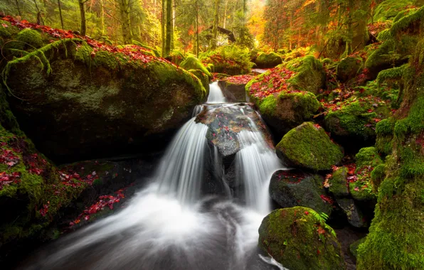 Картинка осень, лес, ручей, камни, водопад, мох, Германия, речка