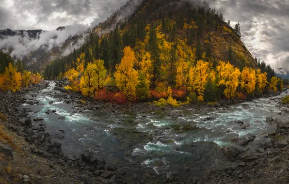 Осень, лес, горы, тучи, река, камни, берег, вид
