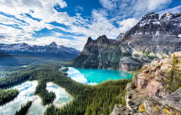 Лес, горы, природа, озеро, скалы, Канада, Yoho National Park, фотограф Mark Donovan