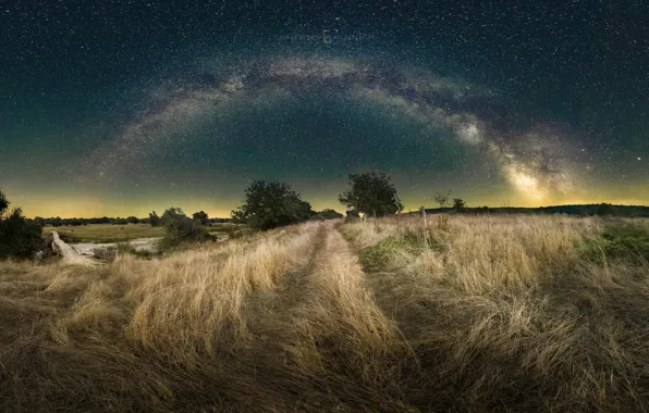 Картинка поле, небо, деревья, вечер, Kristiyan Mladenov