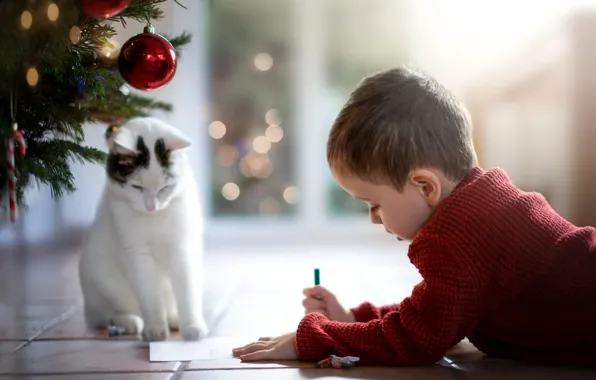 Картинка кошка, мальчик, письмо деду морозу