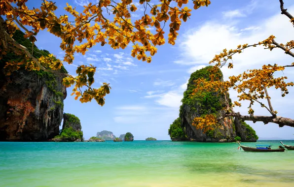 Картинка море, небо, листья, скалы, ветка, Вьетнам