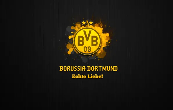 Wallpaper, sport, logo, football, Borussia Dortmund