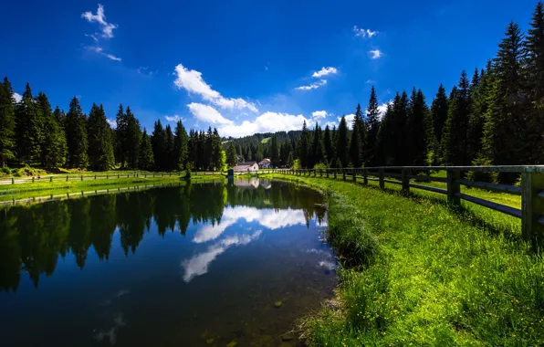 Лес, озеро, отражение, забор, Словения