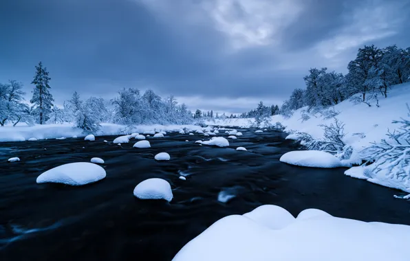 Картинка зима, снег, деревья, пейзаж, река, forest, river, trees