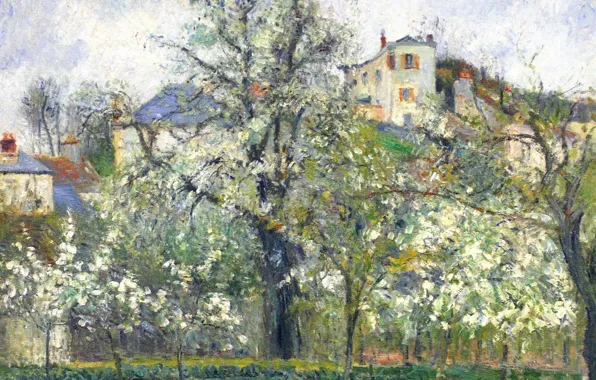 Пейзаж, природа, картина, Камиль Писсарро, Цветущие Деревья. Весна. Понтуаз