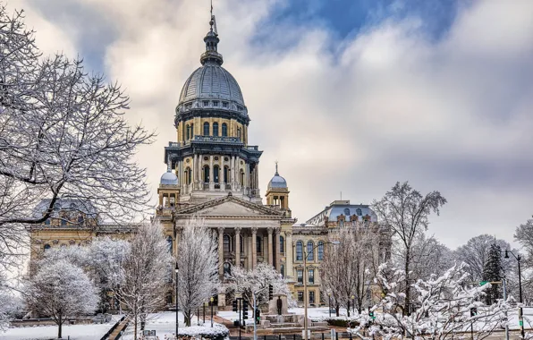 Зима, деревья, здание, США, Illinois, Springfield, State Capitol