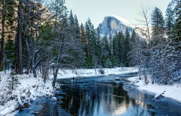 Картинка зима, лес, снег, деревья, горы, Калифорния, США, речка