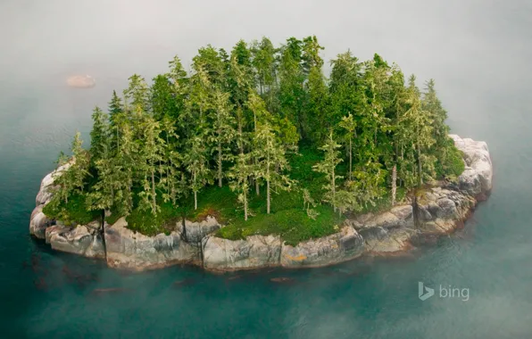 Картинка деревья, туман, скала, остров, Канада, Британская Колумбия, архипелаг Бротон