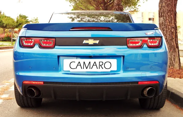 Авто, синий, голубой, зад, Камаро, Шевроле, camaro, auto