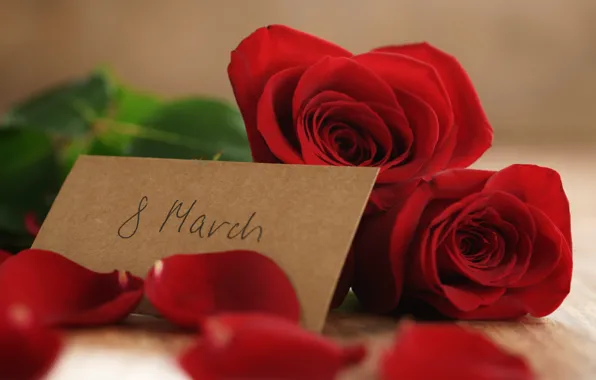 Букет, лепестки, red, 8 марта, romantic, gift, roses, красные розы