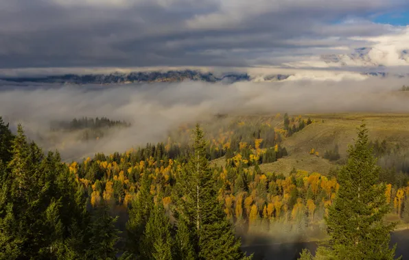 Картинка осень, лес, облака, деревья, туман, река, панорама, США