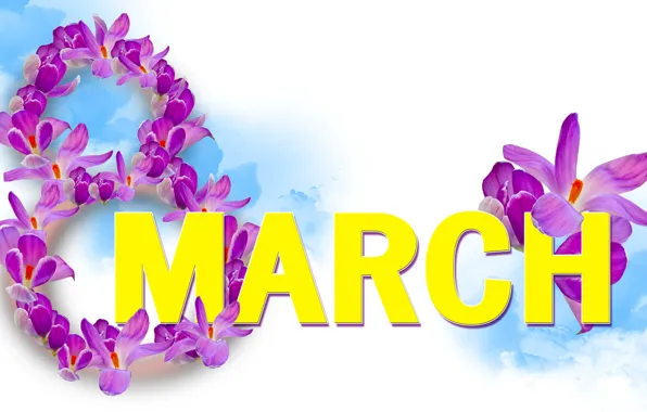 Картинка крокусы, белый фон, 8 марта, женский день