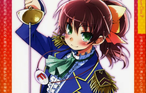 Иероглифы, зелёные глаза, челка, Baka to Test to Shoukanjuu, рапира, эполеты, Minami Shimada, Дурни Тесты …