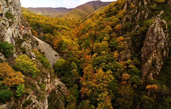 Картинка осень, лес, деревья, горы, камни, скалы, вид сверху