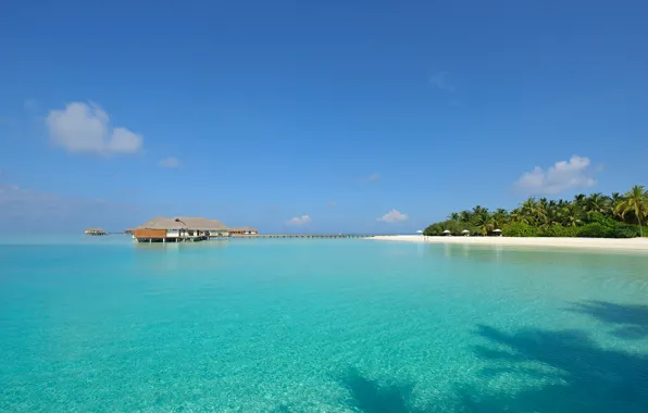 Прозрачная вода, остров, Мальдивы, белый песок, сейшелы