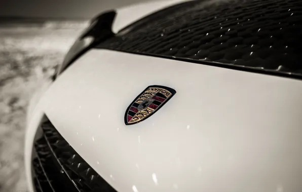Белый, снег, черный, значек, пупырчатый, porsche cayenne