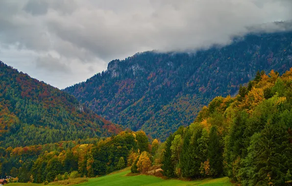 Картинка поле, осень, лес, трава, облака, деревья, горы, Германия