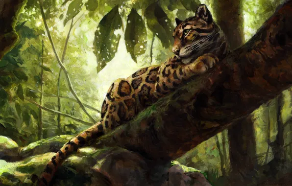 Картинка природа, дерево, леопард, by kenket