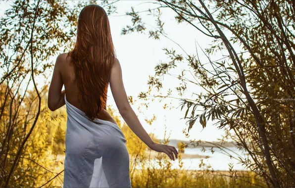 Попа, девушка, волосы, спина, киска