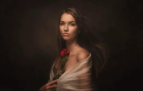 Картинка взгляд, девушка, лицо, темный фон, роза, портрет, накидка, длинноволосая
