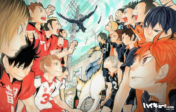 Обои, спорт, арт, волейбол, HAIKYUU