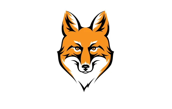 Морда, животное, минимализм, голова, лиса, рыжая, fox