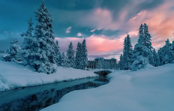 Вода, Зима, Река, Снег, Утро, Ельник