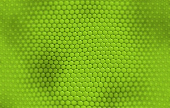 Текстура, зелёный, ячейки