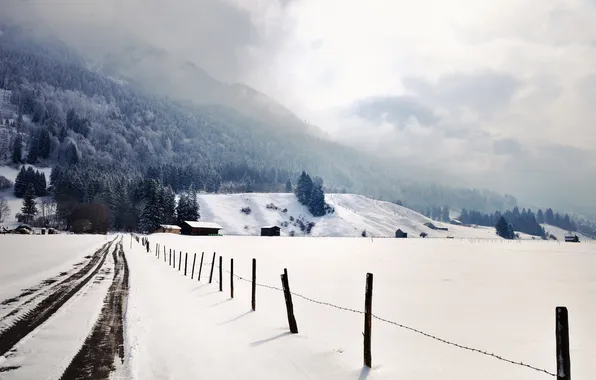 Картинка зима, дорога, пейзаж, забор