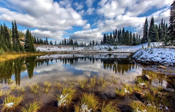 Осень, природа, Mount Rainier National Park