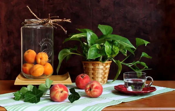 Картинка цветок, вода, чашка, банка, фрукты, натюрморт, персики, абрикосы