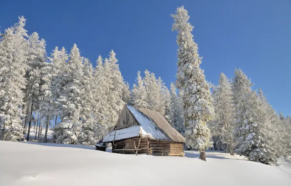 Картинка зима, солнце, снег, Польша, сараюшка