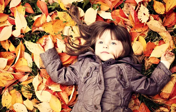 Картинка осень, листья, ребенок, девочка, малышка, дитя, опавшие