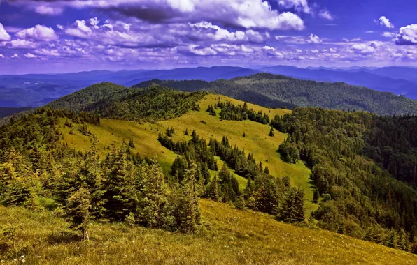 Облака, горы, поля, Украина, леса, Карпаты