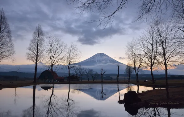 Деревья, озеро, рассвет, вулкан, Yoko Okamoto