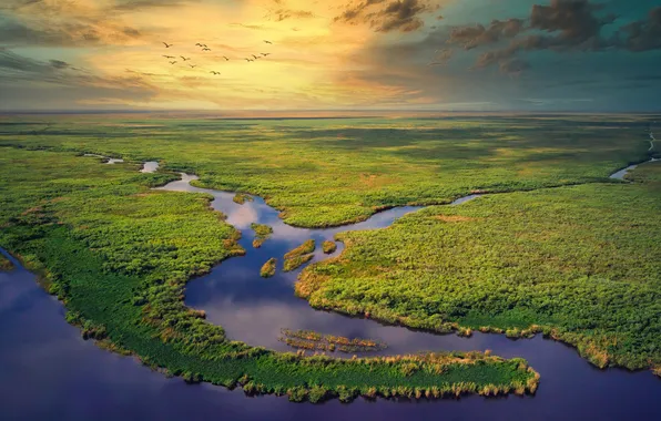 Флорида, горизонт, простор, United States, реки, Florida, красивый пейзаж, Соединенные Штаты Америки