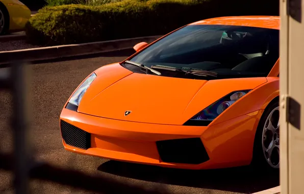 Оранжевый, желтый, Lamborghini, gallardo, yellow, orange, ламборгини