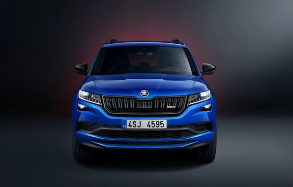 Вид спереди, Skoda, Kodiaq, 2019, Kodiaq RS