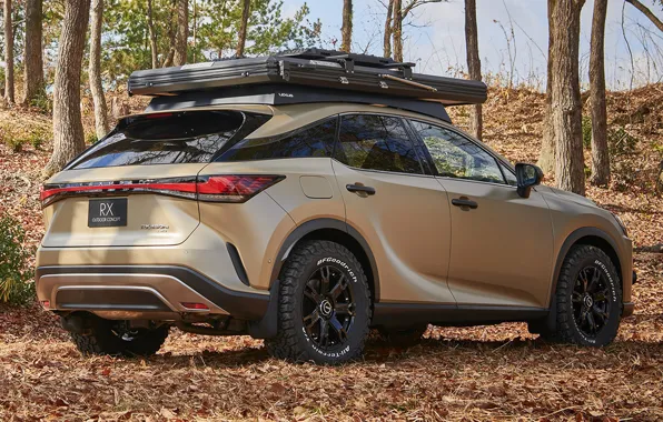 Осень, деревья, листва, Lexus, Лексус, Lexus RX, 2023, Outdoor Concept