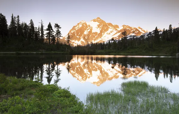 USA, Washington State, Mount Baker National Forest
