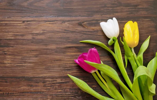 Картинка цветы, букет, colorful, тюльпаны, wood, romantic, tulips, gift