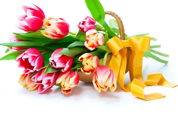 Картинка цветы, весна, лепестки, тюльпаны