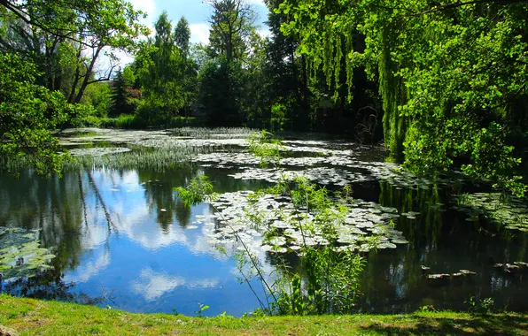 Park, lake, pond