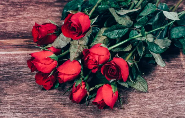 Картинка цветы, розы, букет, красные, red, бутоны, flowers, romantic