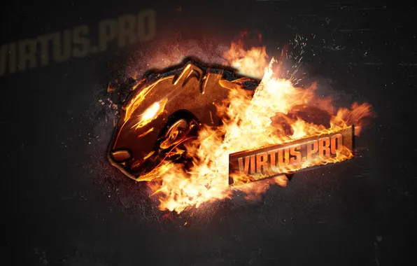 Gamer, team, cs:go, virtus.pro, pro, pro team, pro gamer