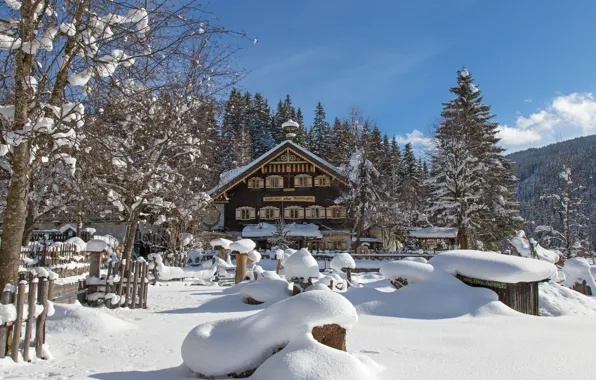 Картинка зима, снег, деревья, дом, Австрия, деревня, сугробы, Austria