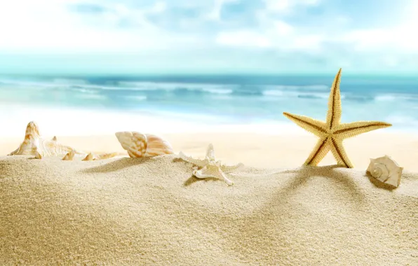Песок, море, пляж, берег, ракушки, summer, beach, sea
